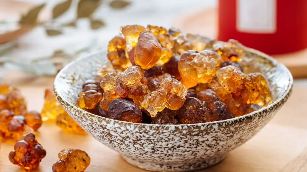 Peach Gum Dessert Sweet Soup Madam Ng Recipe