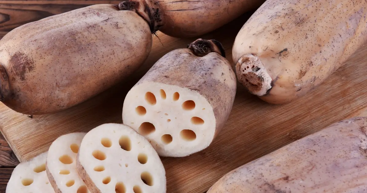 lotus-root-ingredient-all-you-need-to-know-madam-ng-recipe