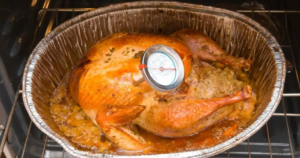 Can You Leave Meat Thermometer In Oven? Is It Safe? Madam Ng Recipe